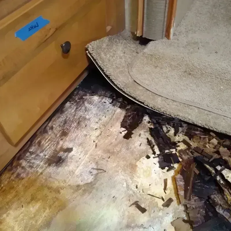 Wood Floor Water Damage in Newport, MN